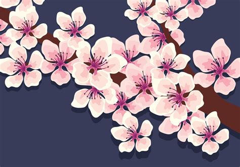 Cherry Blossoms Vector 268609 Download Free Vectors
