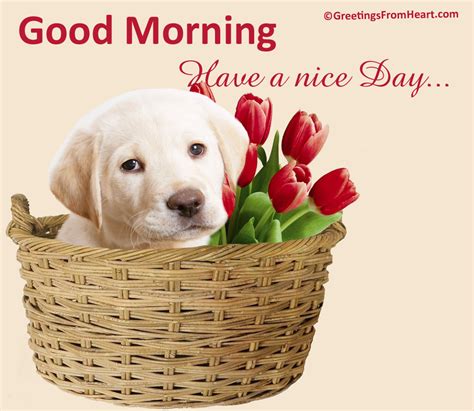 Good Morning Wishes With Dogs Pictures Images Page 4