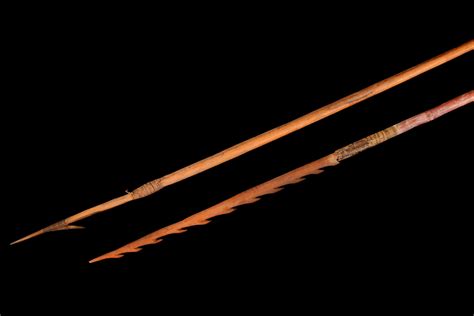 Spears and bows and arrows were used to take larger animals, while snares were employed to capture rabbits and partridge, and deadfalls were used for predators such as foxes and bears. Two Aboriginal spears, long… - Oceanic and African Arts ...