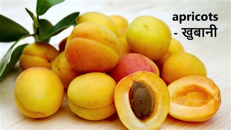 Names Of The Fruits Famous Fruits Of India Learning English Youtube