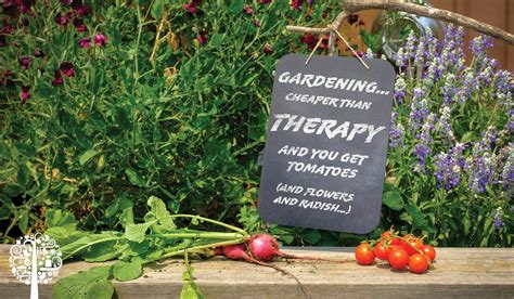 Garden Therapy Stop And Smell The Roses For Better Mental Health