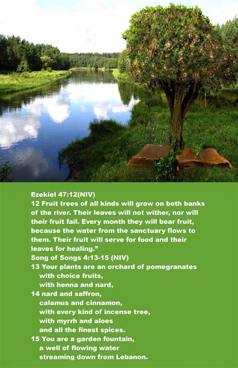 Ezekiel 4712niv Their Fruit Will Serve For Food And Their Leaves For