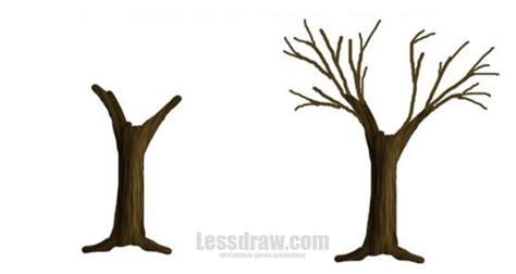 Sprawling Tree Drawing We Draw Trees The Cylindrical Shape Of The