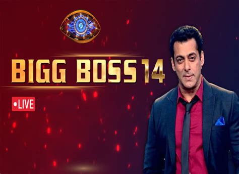Jasmin bhasin and pavitra punia to participate in bigg boss 14. Watch Bigg Boss 14 New Episode 2020 Live