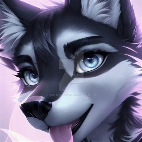 Wolf Pfp 5 By Ludeproductions Xtra On Deviantart