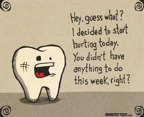 He decided to tough it out but was back in hospital after several days where he was prescribed pain killers and antibiotics. A toothache will bring you down | The StephenKing.com ...