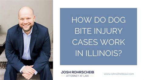How Do Dog Bite Injury Cases Work In Illinois