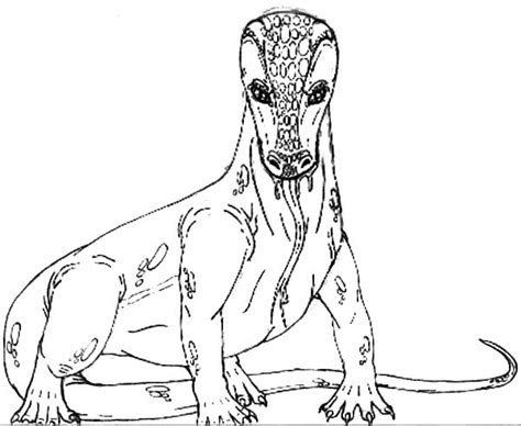 Check free printable snake coloring pages. Komodo Dragon Looks Like A Snake Coloring Pages - Download ...