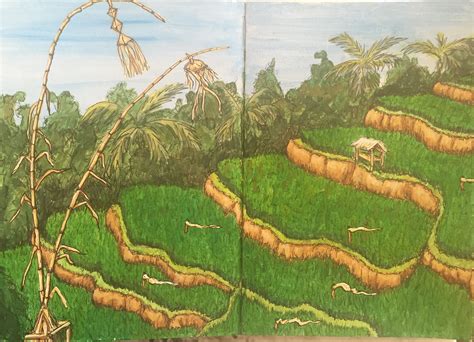 Banaue Rice Terraces Sketch At Explore Collection