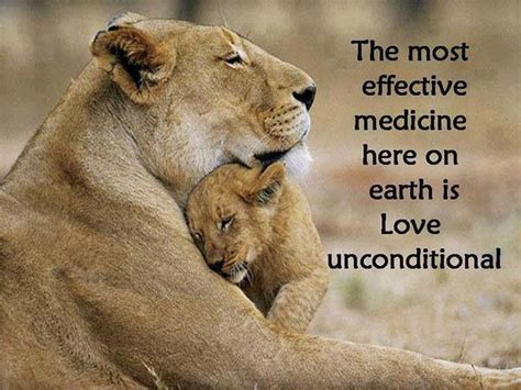 Unconditional Love Quotes On Animals Quotesgram