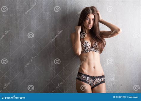 Sexy Meisje In Lingerie Met Getijgerd Kant Weefsel Op Een Grijze Rug Stock Afbeelding Image