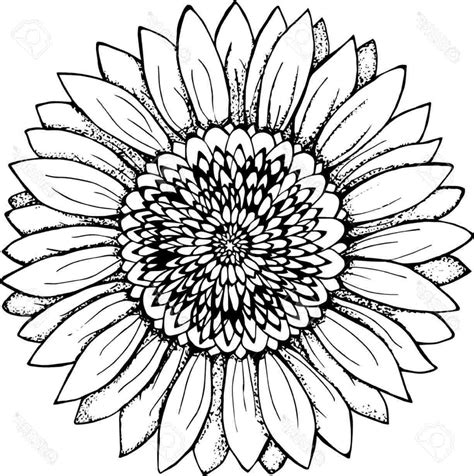 Free Free Sunflower Outline Svg 323 SVG PNG EPS DXF File