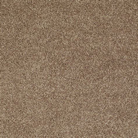 Shaw Sensational Rr Putty Textured Indoor Carpet At