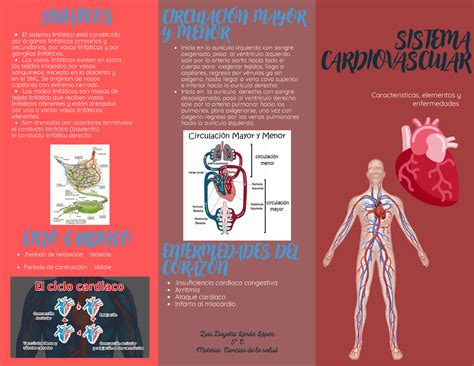 Tr Ptico Del Sistema Cardiovascular Temas De Ciencias De La Salud Studocu