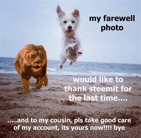 I thought i could share it with some, so. MEME CHALLENGE #40 ENTRY #1 - FAREWELL — Steemit