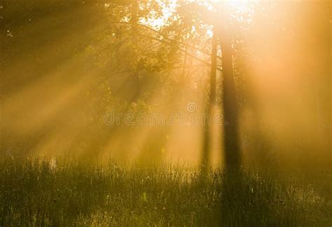 The Morning Sun Stock Image Image Of Light Sunset Outdoor 26991253