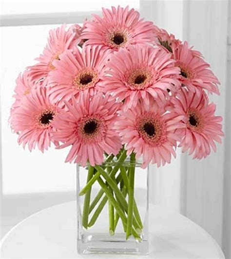 Get the best deal for daisy flower bouquet floral décor from the largest online selection at ebay.com. Mis favoritas! | Flower arrangements, Beautiful flowers ...