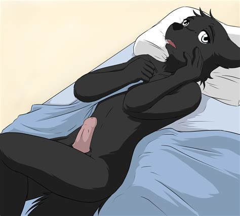 Rule 34 Anthro Bed Black Fur Blanket Canine Color Fur