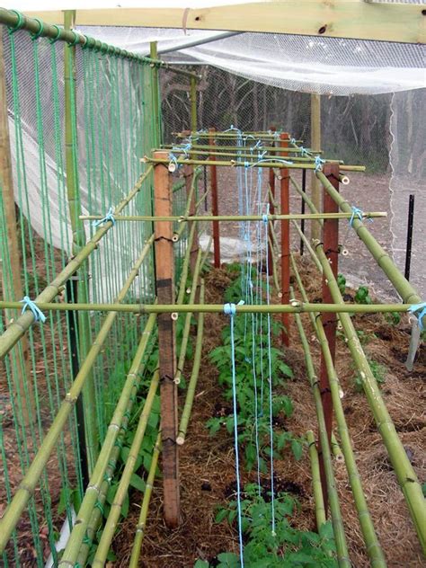 How Farmers Use Bamboo — Guadua Bamboo Bamboo Garden Simple Trellis