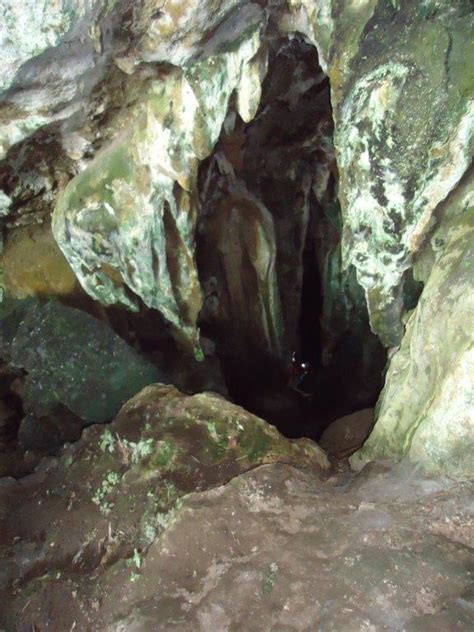 Cueva De Los Guácharos De Soritor Cuevas Y Tragaderos De Perú Y Bolivia
