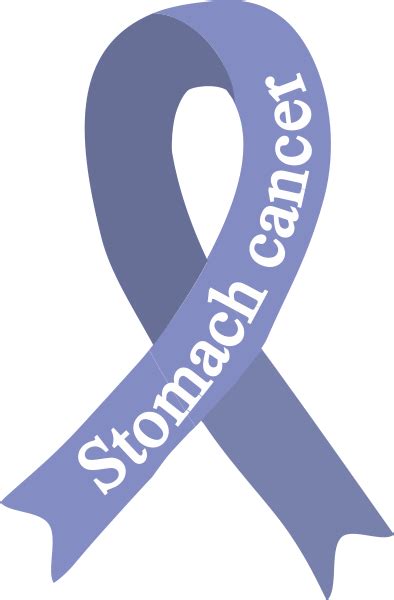 Stomach Cancer Ribbon Decal 2