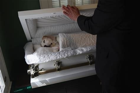 Tombs Mark Lost Loved Ones At Pet Cemetery Grieving Pet Owner Spencer