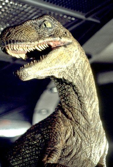 Hewwo Jurassic Park Movie Jurassic Park 1993 Jurassic Park