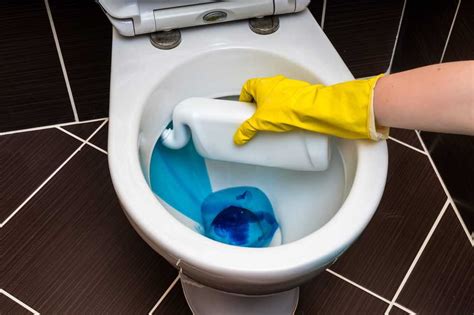 5 Best Toilet Cleaners For Septic Tanks 2020 Reviews Sensible Digs
