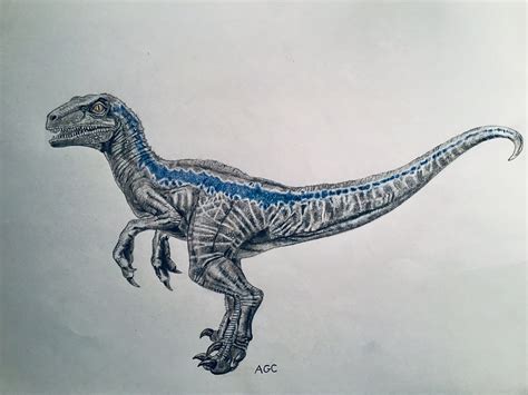 Blue The Velociraptor Blue Jurassic World Jurassic Park Tattoo