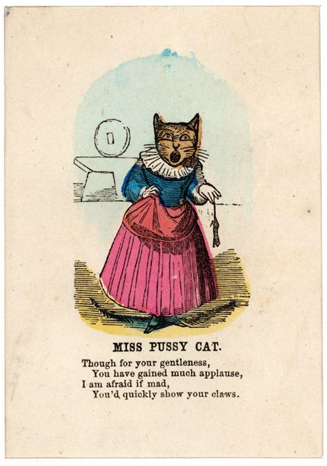 Miss Pussy Cat Library Company Of Philadelphia Digital Collections