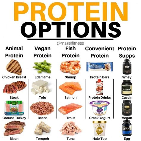 facts to know for best protein needs in 2020 with images workout food nutrition high