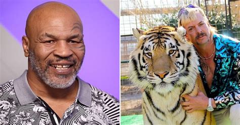 Mike Tyson Said His Tigers May Have Been Supplied By Joe Exotic Small