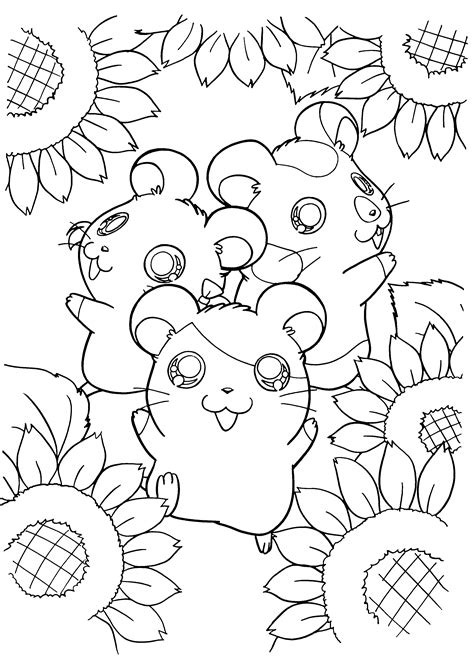 Hamster Coloring Pages Best Coloring Pages For Kids