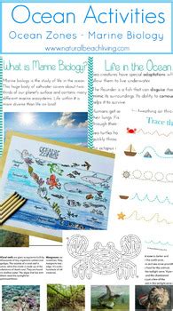 The Best Ocean Activities - Marine Biology Unit Study for Kids | TpT