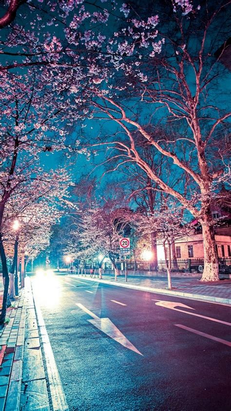 Japanese Street Cherry Blossom Night Scenery Iphone 6 Plus
