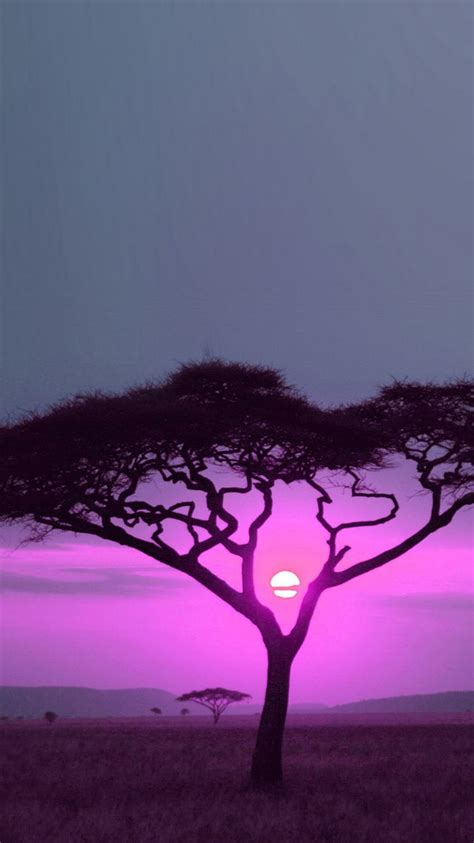 African Sunset Sunset Iphone Wallpaper Africa Sunset
