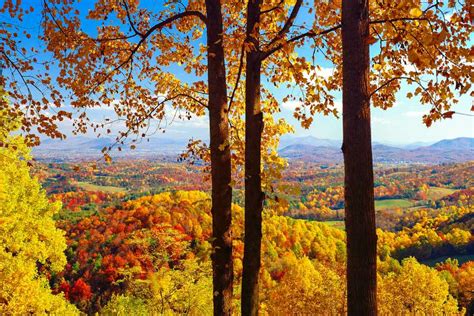 Fall Foliage Peak Periods In The Southeast