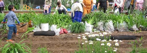 Refugee Urban Agriculture Story Map | Syracuse Community ...