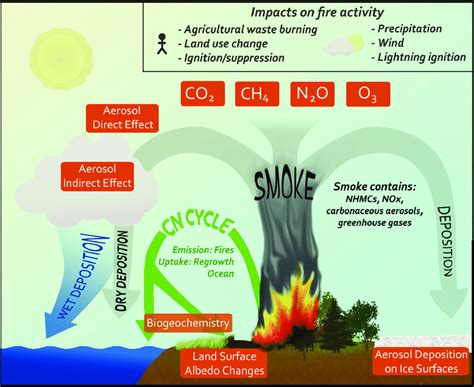 A Schematic Illustrating The Various Impacts Of Fire On The Atmosphere