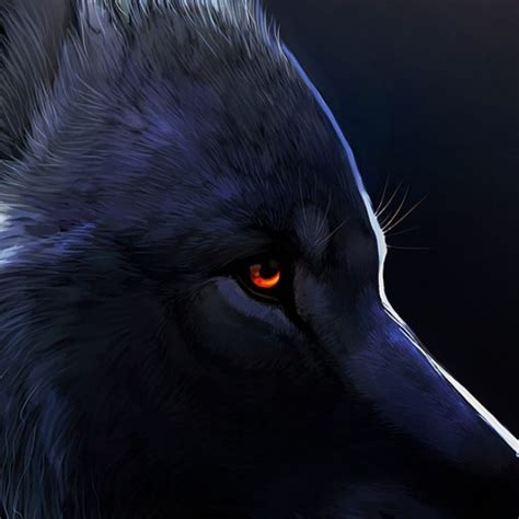 10 New Black Wolf With Red Eyes Wallpaper Full Hd 1080p For Pc Desktop 2023