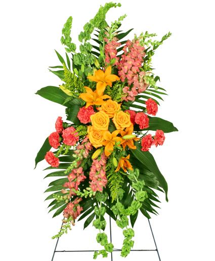 Browse flowers prices, photos and 42 reviews, with a rating of 4.6 out of 5. GLORIOUS LIFE Funeral Flowers in Phoenix, AZ - FLOWERS BY ...