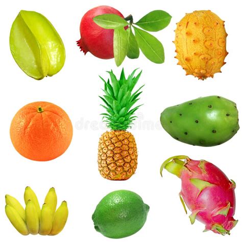 Tropical Fruit Set Stock Photo Image Of Five Dieting 7345544