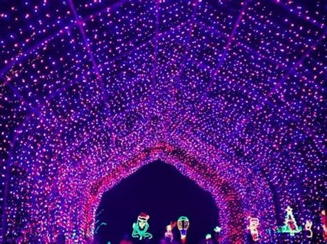 Shady Brook Farms 2018 Holiday Light Show Opens Nov 17 Newtown Pa