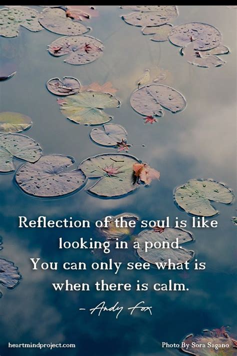 Reflection Of The Soul Is Like Looking In A Pond You Can Only See What