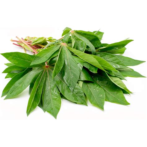 Cassava Leaves Fresh 200g