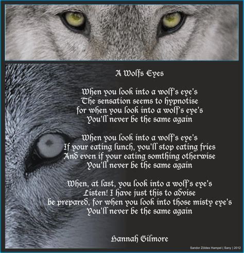A Wolfs Eyes Poemhannah Gilmore Wolf Eyes Mate Quotes Animal Totems