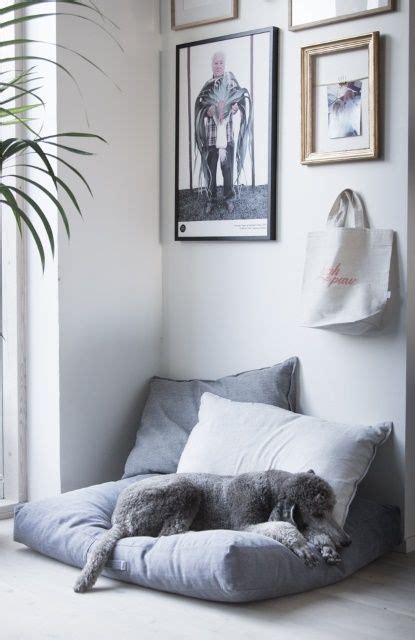 29 Of The Best Pet Bedroom Ideas 17 Is Super Cute The Sleep Judge