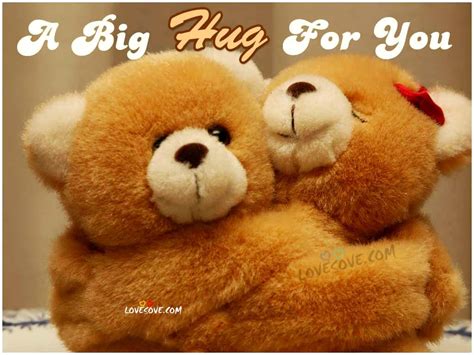 Two Teddy Bears Hugging Each Other With The Caption A Big Hug For You