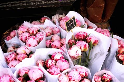 Flower Market Bergen Flickr Photo Sharing My Flower Fresh