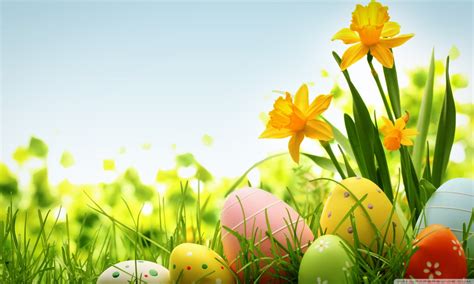 Celebrate and make merry for the lord has risen. TheKharkivTimes wishes you a Happy Easter Day! | The ...